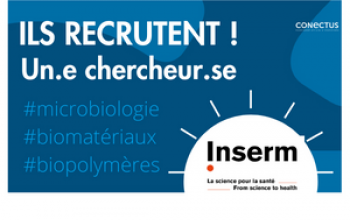 vignette Ils recrutent